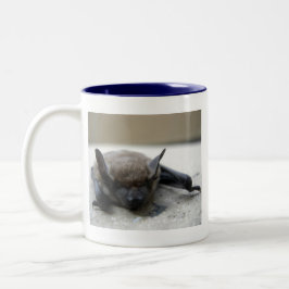 Taza Bicolor Murciélago marrón pequeño (Myotis lucifugus)
