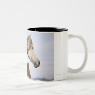 Taza Bicolor Mustangos españoles