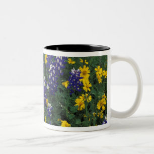 Taza Bicolor N.A, EE. UU., Texas, Marble Falls, Blue Bonnets
