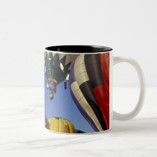 Taza Bicolor N.A., EE. UU., Washington, Walla Walla, Walla Wall