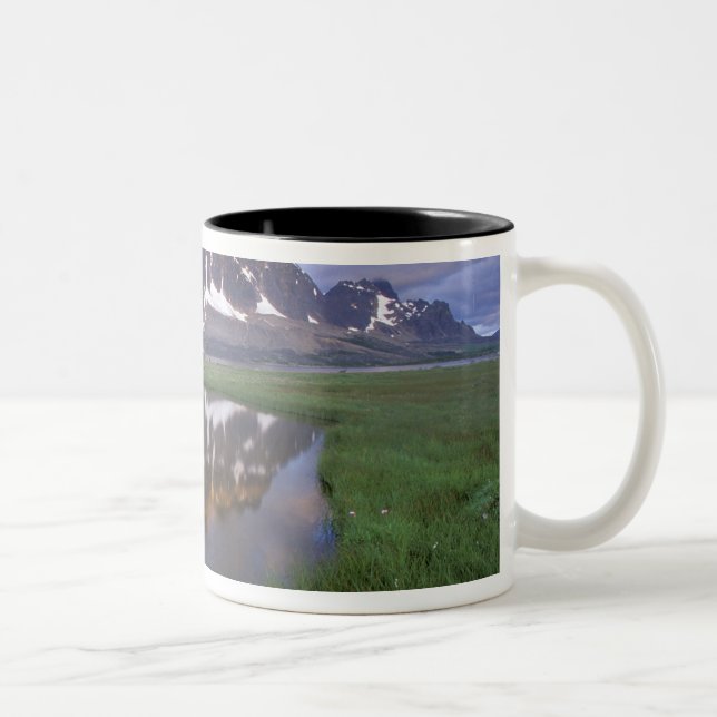Taza Bicolor NA, Canadá, Alberta, Valle de Tonoquin. Jasper (Derecha)