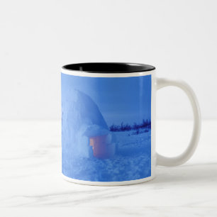 Taza Bicolor NA, Canadá, Manitoba, Churchill. Iglú ártico