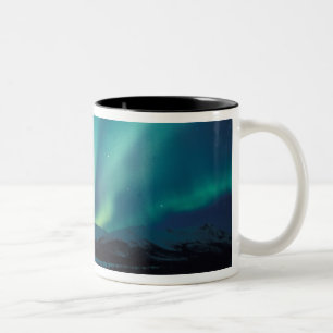 Taza Bicolor NA, EE.UU., Alaska, Brooks Range, Cortinas verdes