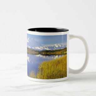 Taza Bicolor NA, EE.UU., Alaska, Denali NP Mt. McKinley en