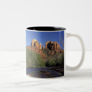 Taza Bicolor NA, EE. UU., Arizona, Sedona. Cathedral Rock y Oak