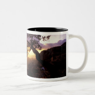 Taza Bicolor NA, EE. UU., Arizona, Tucson, Atardecer y solitari
