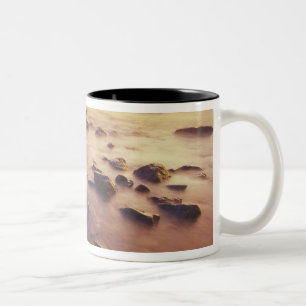 Taza Bicolor NA, EE. UU., California, California del Norte,