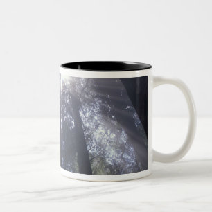 Taza Bicolor NA, EE. UU., California. Del Norte Coast State 2