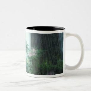 Taza Bicolor NA, EE. UU., California, Del Norte Redwoods State