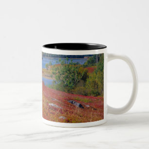 Taza Bicolor NA, EE. UU., Maine. Páramos de Arándanos.