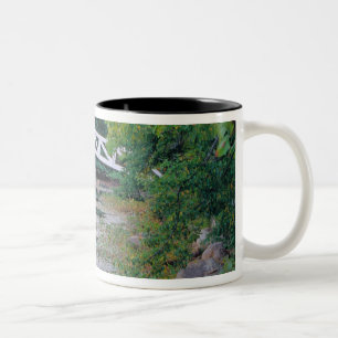 Taza Bicolor NA, EE. UU., Maine. Puente sobre estanque en Some