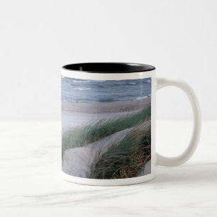 Taza Bicolor NA, EE. UU., Míchigan, condado de Berrien, St. Jos