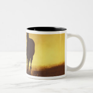 Taza Bicolor NA, EE. UU., Oregón, Seneca, Ponderosa Ranch, Vaqu