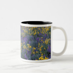 Taza Bicolor NA, EE. UU., Washington Dalles, Lupino y