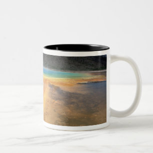 Taza Bicolor NA, EE. UU., Wyoming, Yellowstone NP, Grand