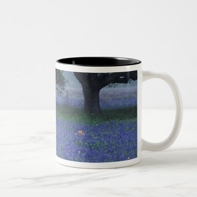 Taza Bicolor NA, Texas, Devine, Roble y bonetes azules (Derecha)