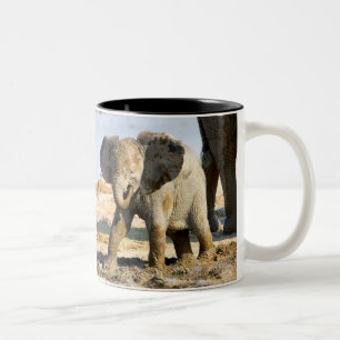 Taza Bicolor Namibia, África: cría de elefante africano