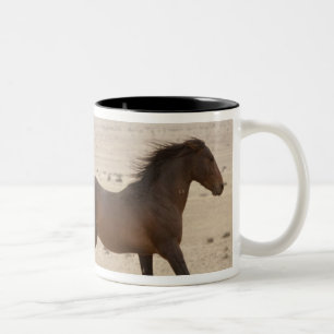 Taza Bicolor Namibia, Aus. Caballos salvajes corriendo en el Na