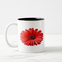 Naranja Daisy Mug