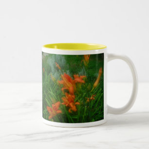 Taza Bicolor Naranja daylilies