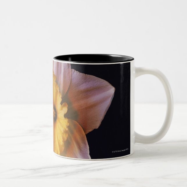 Taza Bicolor Narciso (Derecha)