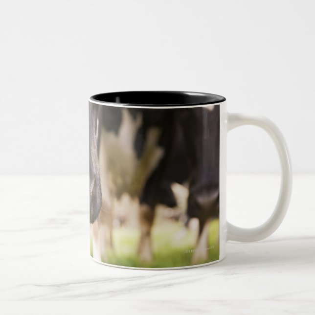 Taza Bicolor Nariz de la vaca (Derecha)