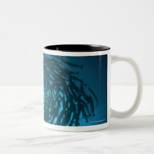 Taza Bicolor Natación del barracuda de Blackfin en círculos