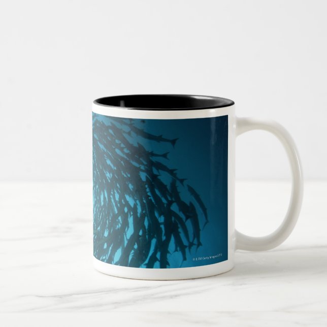 Taza Bicolor Natación del barracuda de Blackfin en círculos (Derecha)