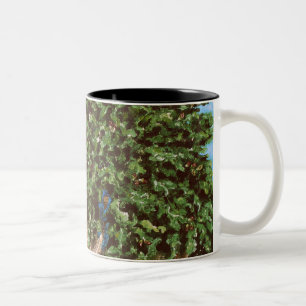 Taza Bicolor Nathanael y la higuera