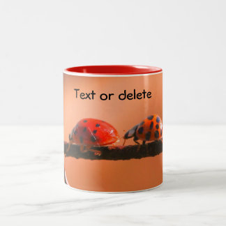 Taza Bicolor Naturaleza de los Buddies de Ladybug Personalizada