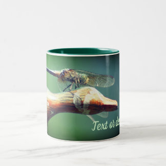 Taza Bicolor Naturaleza del piloto de la CoPiloto de la libélul