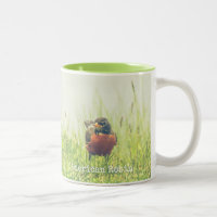 Naturaleza verde de Robin estadounidense
