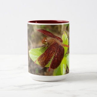 Taza Bicolor NaturCraze Tambor de libélula roja y negra