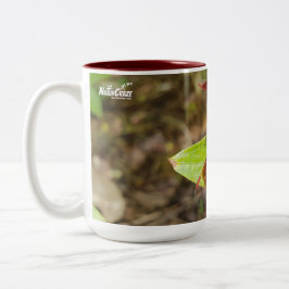 Taza Bicolor NaturCraze Tambor de libélula roja y negra