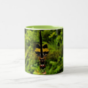 Taza Bicolor NaturCrazo Negro y Amarillo Dragonfly Mug