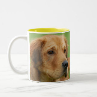 Taza Bicolor Neco