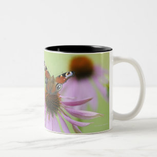 Taza Bicolor Néctar de consumición de la mariposa de pavo real