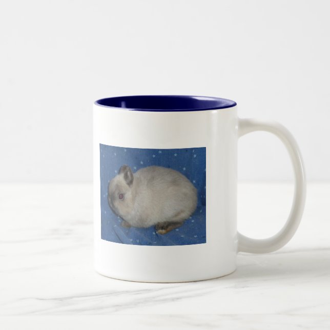 Taza Bicolor Netherland Mug2 enano (Derecha)