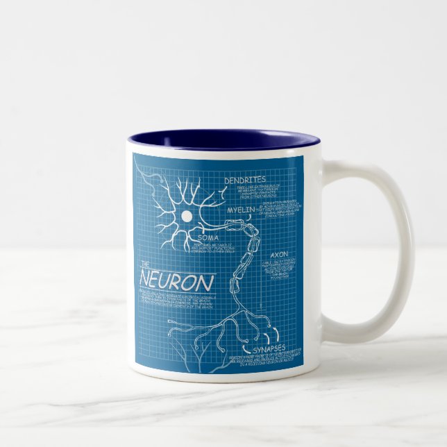Taza Bicolor neurona del modelo (Derecha)