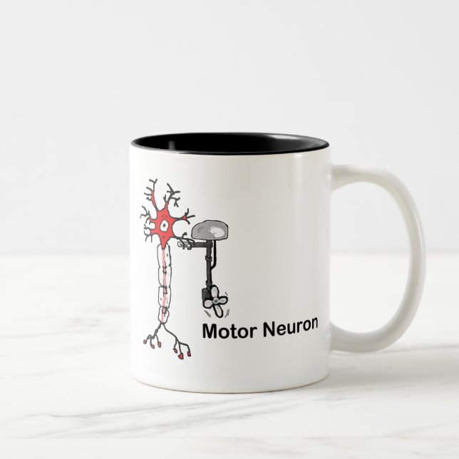 Taza Bicolor Neurona motora (Derecha)