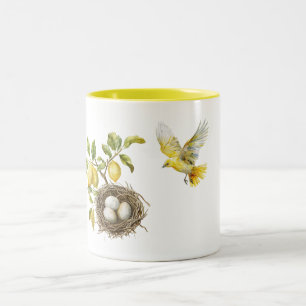Taza Bicolor Nido de pájaro de limones amarillos