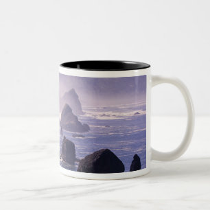 Taza Bicolor Niebla matutina a lo largo de la costa de Oregon c