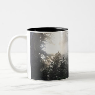 Taza Bicolor Niebla y haces de Sun en un bosque de Washington