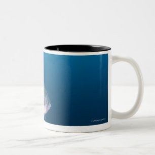 Taza Bicolor Nishiizumachi, prefectura de Shizuoka, Japón