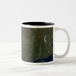 Taza Bicolor Noreste de Estados Unidos