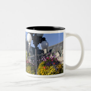 Taza Bicolor Norteamérica, Canadá, Columbia Británica, 5