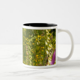 Taza Bicolor Norteamérica, Canadá, Islas de la Reina Carlota, 5
