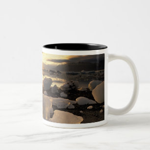 Taza Bicolor Norteamérica, EE. UU., Alaska, Bahía de Hielo, Pai
