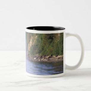 Taza Bicolor Norteamérica, EE. UU., Alaska, Paso Interior.