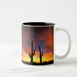 Taza Bicolor Norteamérica, EE. UU., Arizona, Desierto de Sonora